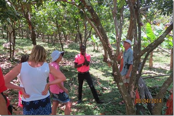 betasmallA lecture from Kelly in the coco plantation
