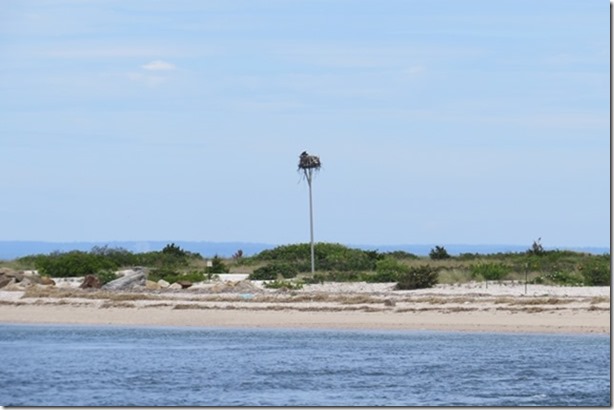 visasmallComing into Port Jefferson with the first of many osprey nests on the beachdavid