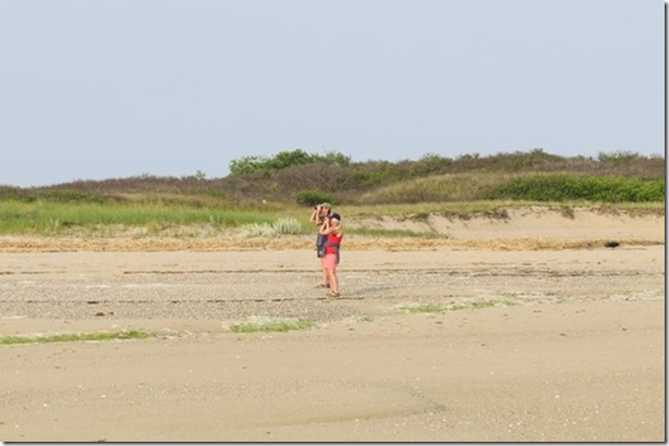 visasmallSkipper and Ship's Boy bird watching on Long Point beach, Cape Coddavid