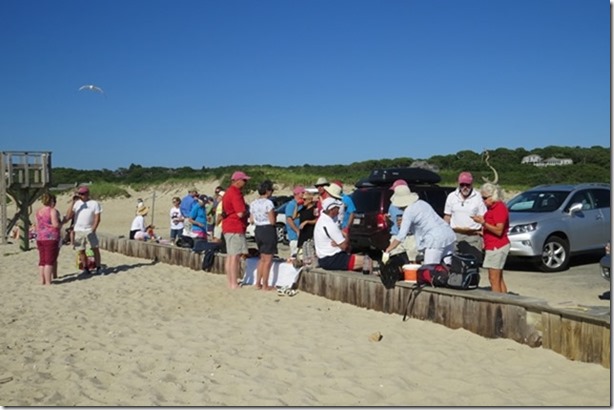 visasmallMembers of the OCC Menemsha beach party laying out their hors d'oeuvresdavid