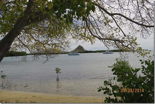 betasmallLunchtime spot, the mangrove lagoon between Frigate Island and Clifton