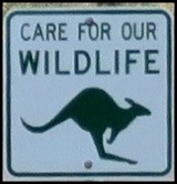 A Care for Wildlife