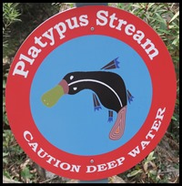 A Platypus Stream